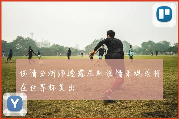 伤情分析师透露尼科伤情乐观或将在世界杯复出
